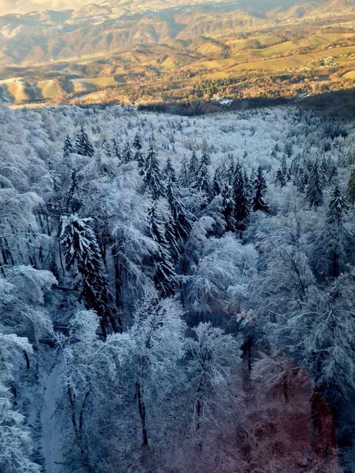 Foxi Apartment, Pohorje Hočko Pohorje Eksteriør bilde